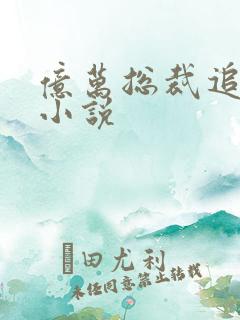 亿万总裁追甜妻小说