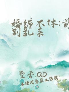 婚缠不休:前夫别乱来