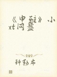 《申雅》小说txt网盘