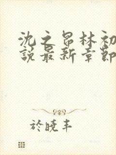 沈之昂林初窈小说最新章节免费阅读