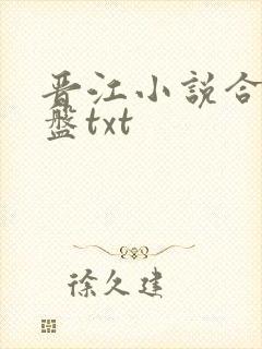 晋江小说合集网盘txt