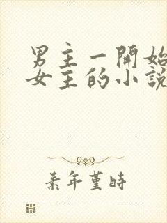 男主一开始厌恶女主的小说