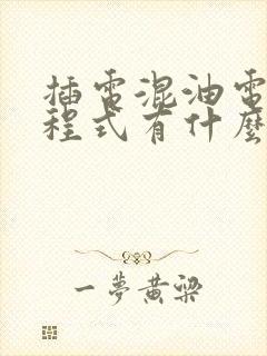 插电混油电混增程式有什么区别