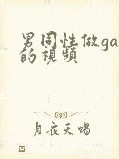 男同性做gay的视频