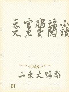 天官赐福小说全文免费阅读未删减无弹窗笔