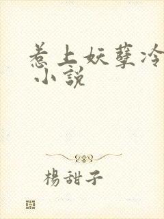 惹上妖孽冷殿下 小说