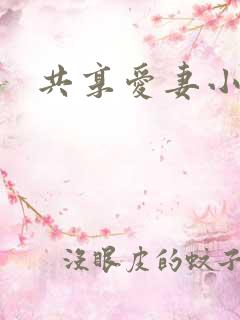 共享爱妻小说