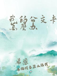 我的公交卡丢了怎么办