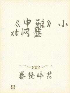 《申雅》小说txt网盘