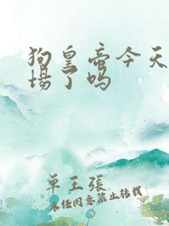 狗皇帝今天火葬场了吗