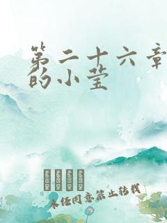 第二十六章满足的小莹