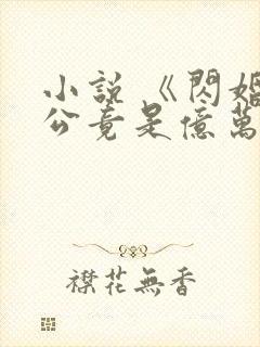 小说 《闪婚老公竟是亿万总裁》