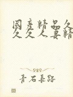 国产精品久久久久久人妻精品