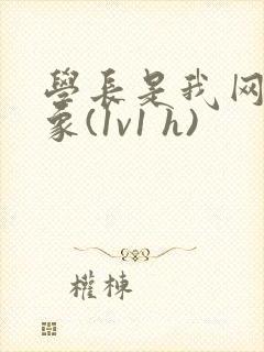 学长是我网恋对象(1v1 h)