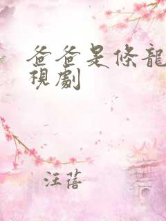 爸爸是条龙 电视剧