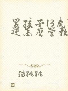 男孩子13岁叛逆怎么管教