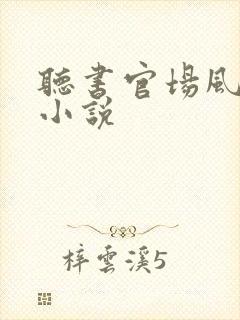 听书官场风云 小说