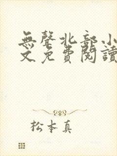 无声北部小说全文免费阅读最新章节