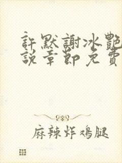 许默谢冰艳的小说章节免费阅读