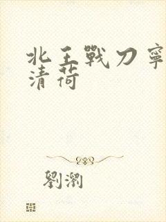 北王战刀宁北苏清荷