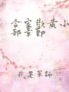 合家欢黄小梅全部章节