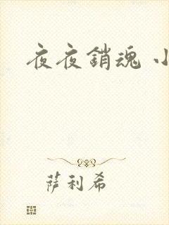 夜夜销魂 小说