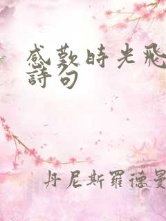 感叹时光飞快的诗句