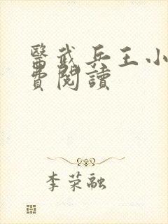 医武兵王小说免费阅读