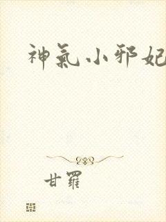 神气小邪妃