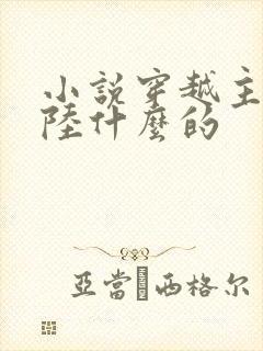 小说穿越主角叫陆什么的