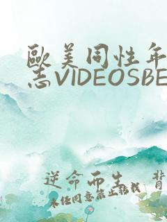 欧美同性年轻同志VIDEOSBEST