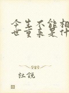 今生不能相爱来世重来是什么歌