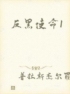 反黑使命1