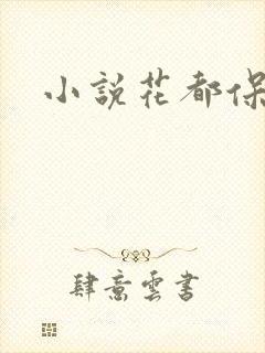 小说花都保镖