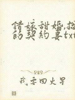 错嫁甜婚,总裁的契约妻txt下载