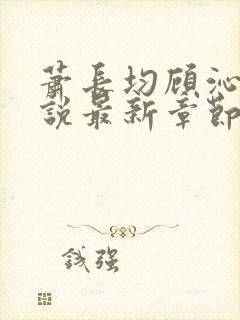 萧长均顾沁儿小说最新章节免费阅读