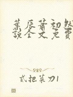 叶辰萧初然的小说全文免费阅读