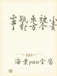 电瓶车被小车撞了对方全责怎么赔偿