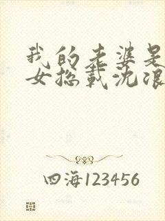 我的老婆是冰山女总载沈浪