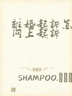 离婚起诉怎么在网上起诉