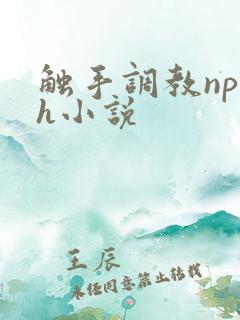 触手调教np高h小说