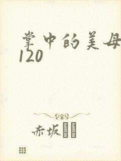 掌中的美母版主120