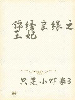 锦绣良缘之北地王妃