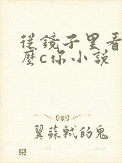 从镜子里看我怎么c你小说