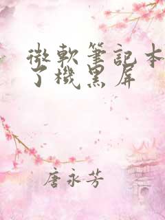 微软笔记本开不了机黑屏