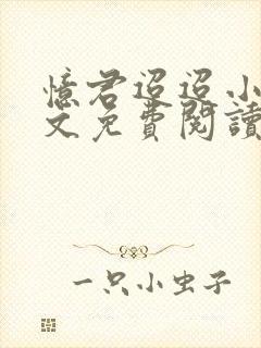 忆君迢迢小说全文免费阅读