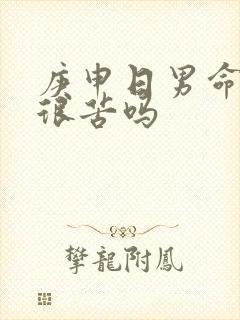 庚申日男命妻子很苦吗