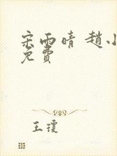 宋雨晴 赵小刚免费