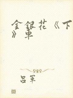 金银花《下厨房》车