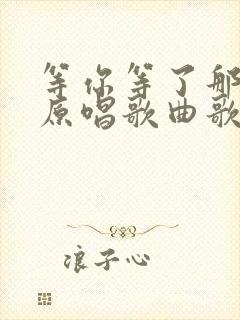 等你等了那么久原唱歌曲歌词